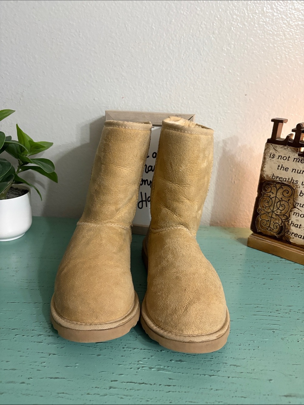 UGG Chestnut Suede Classic Short Winter Boots